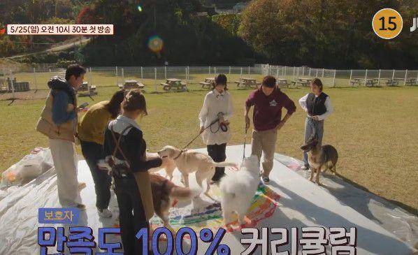 Paws in Paradise (Dok. JTBC/Paws in Paradise)