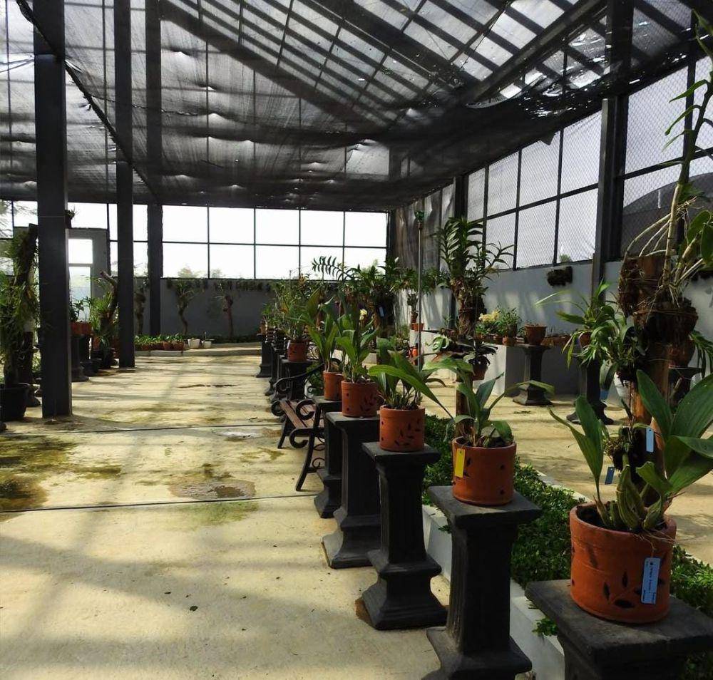 Kebun Raya Institut Teknik Sumatra (Itera) (Instagram/kebunrayaitera)