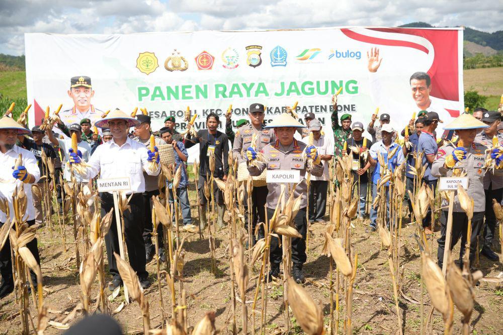 Kapolri Jenderal Listyo Sigit Prabowo dan Mentan Amran Sulaiman melaksanakan panen raya jagung di Desa Bolli, Bone, Sulawesi Selatan (Sulse), Jumat (16/5/2025). (dok. Humas Polri)