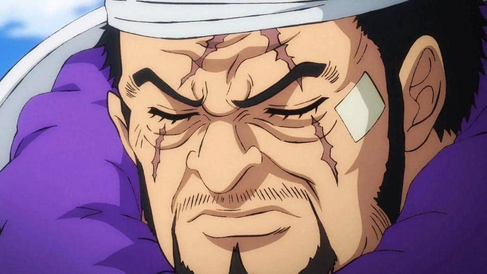 Fujitora (dok. Toei Animation/One Piece)