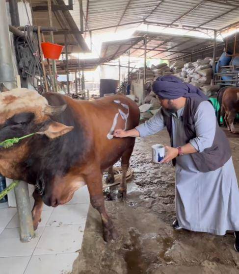 Richard Lee beli sapi kurban (Instagram.com/dr.richard_lee)