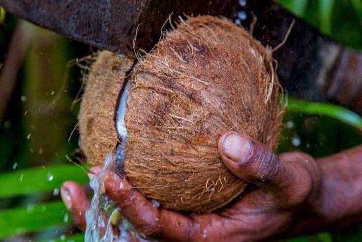 Napi Lapas Kedungpane Telaten Bikin Coco Rope, Bisa Dijual ke Belgia