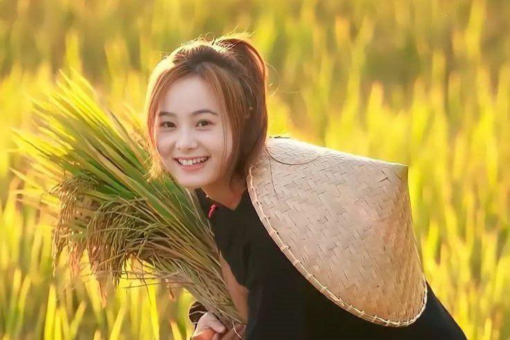 5 Filosofi Padi yang Mengajarkan Bagaimana Manusia Harus Hidup