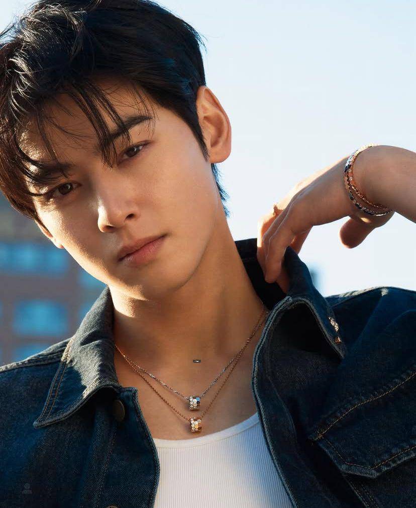 potret Cha Eun Woo (Instagram.com/eunwo.o_c)