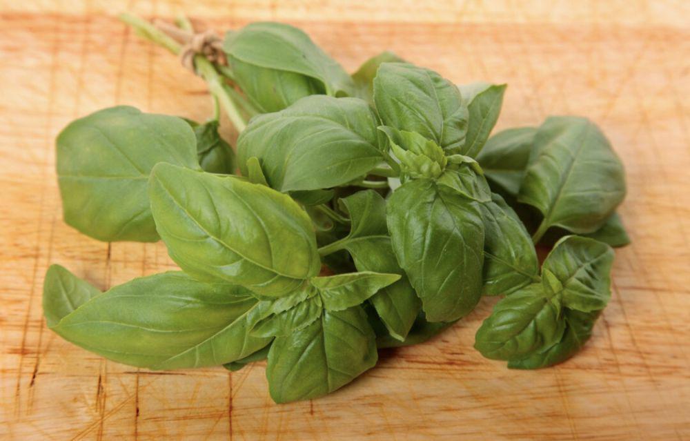 5 Cara Gunakan Daun Kemangi dalam Masakan yang Bikin Lebih Sedap