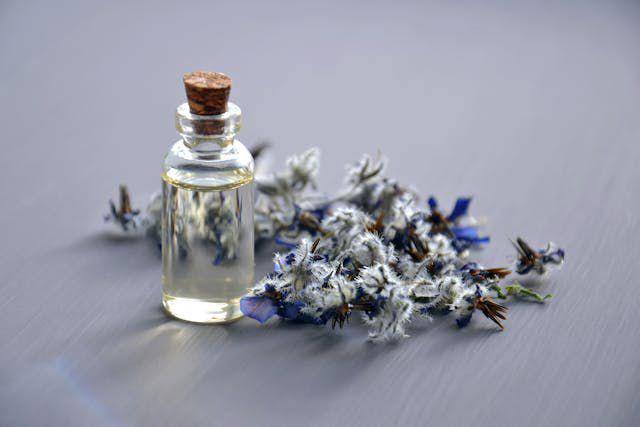 ilustrasi minyak essensial lavender (pexels.com/pexels.com/)