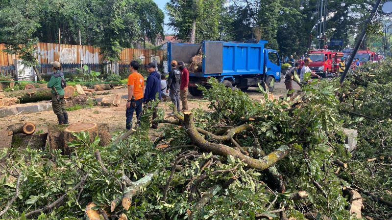 Pengendara Motor Patah Tangan Terkena Pohon Tumbang di Jalan Djuanda