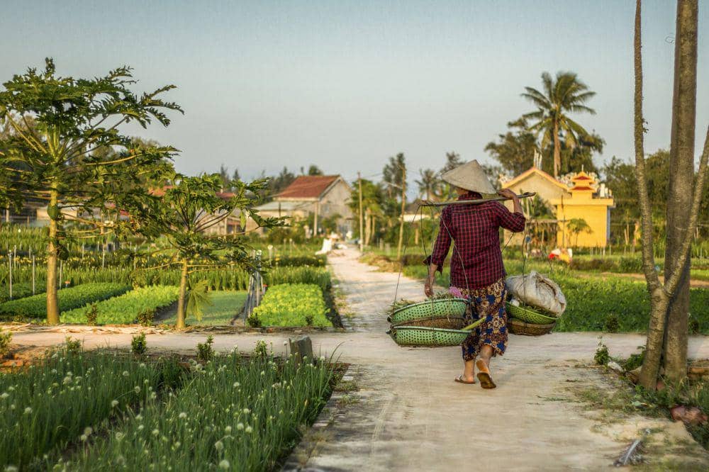 Pixabay/Babel_hospitality