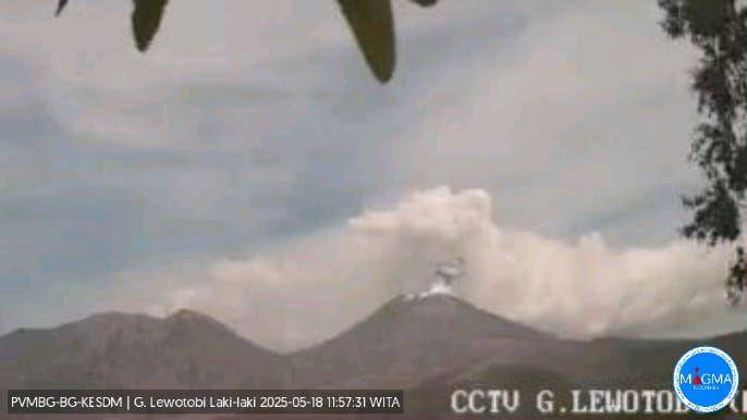 visual Gunung Api Lewotobi Laki-laki pukul 11.57 WITA, Minggu (18/5/2025). (Dok MAGMA Indonesia)