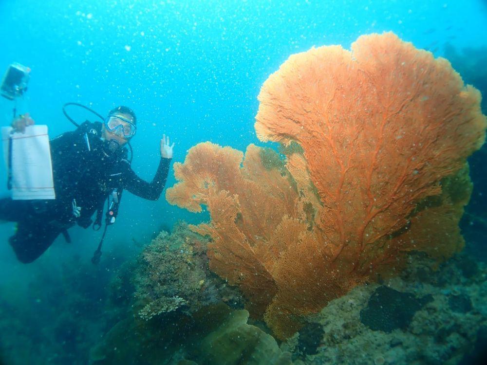 Relaksasi Visa Perkuat Kepri Jadi Destinasi Wisata Lintas Batas