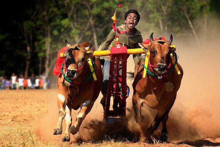 5 Olahraga Tradisional yang Hampir Punah, Perlu Diselamatkan!