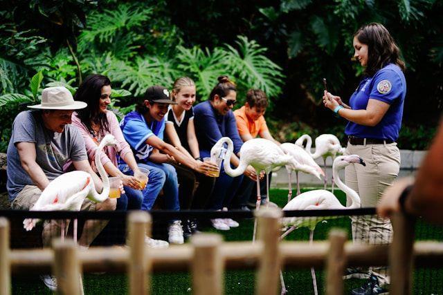 4 Perbedaan Open Trip dan Private Trip yang Perlu Kamu Tahu