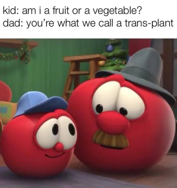meme tomat