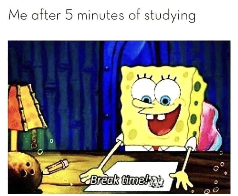 meme SpongeBob tentang ngerjain PR (reddit.com/user/dnniscanonico)