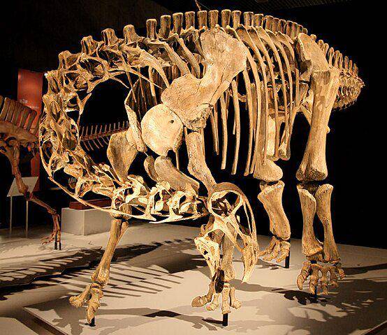 Kerangka Nigersaurus (commons.wikimedia.org/Kabacchi)