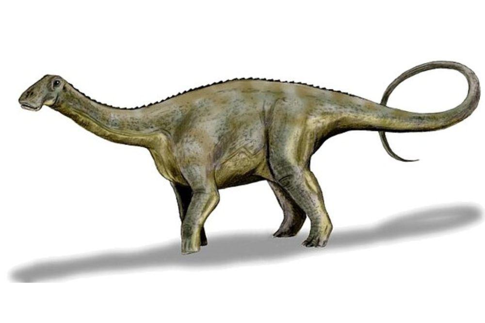 5 Fakta Menarik Nigersaurus, Dinosaurus Unik dengan 500 Gigi!