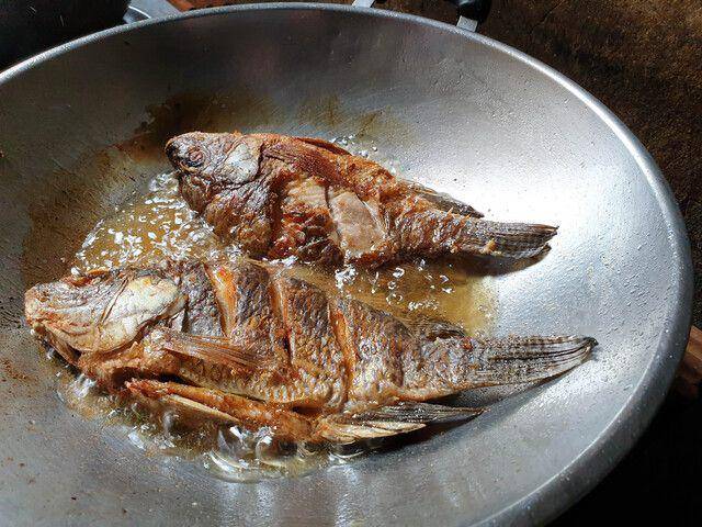 ilustrasi menggoreng ikan nila (vecteezy.com/112400552083805969644)