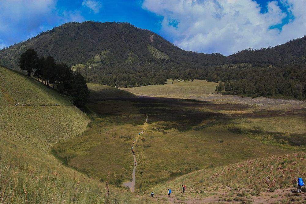 Gunung Semeru (commons.wikimedia.org/Ryangustiawan)