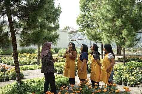 Kegiatan yang bisa dilakukan di Rumah Atsiri 