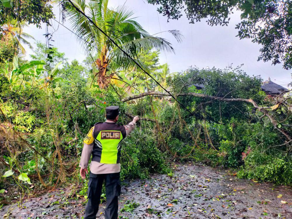 Nomor Emergency Jika Terjadi Bencana di Tabanan