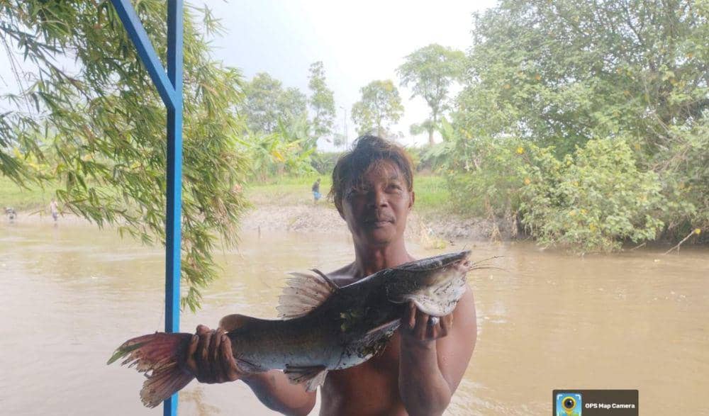 Fenomena ikan mati di Kali Surabaya. (Dok. Ecoton)