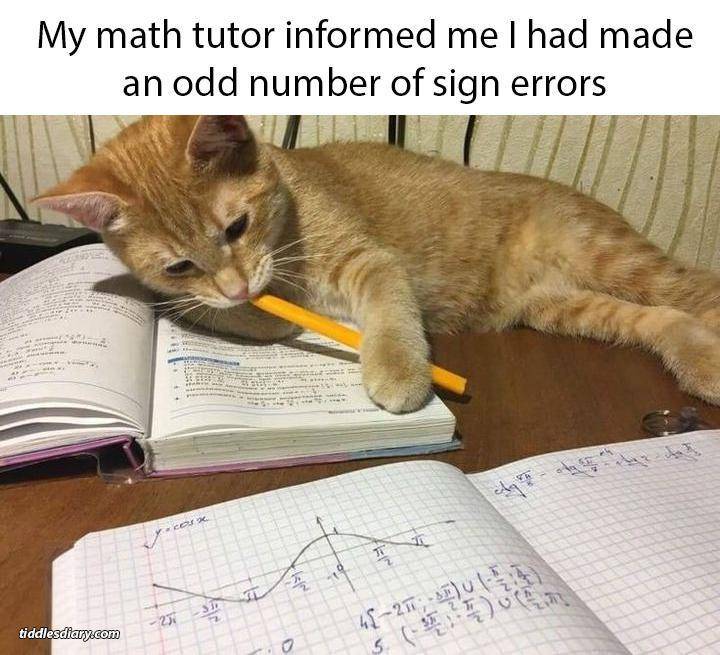 meme kucing tentang matematika (reddit.com/user/pcangelnow)