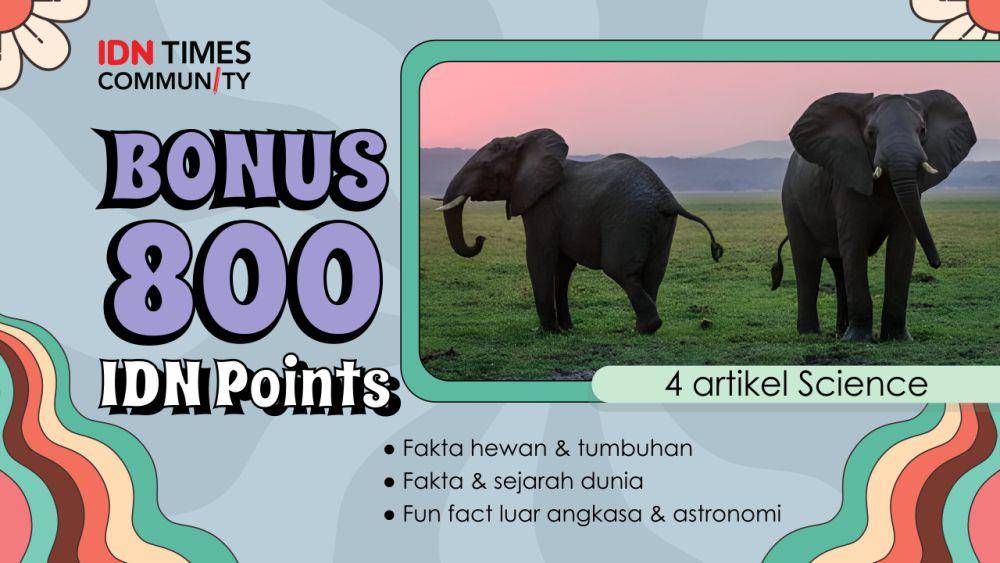 Kumpulan bonus IDN Points IDN Times Community (IDN Times/Sukma Mardya Shakti)