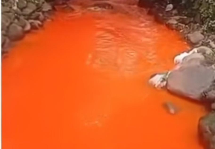 Viral Sungai di Bogor Tercemar Limbah, Warga Lapor ke Dedi Mulyadi