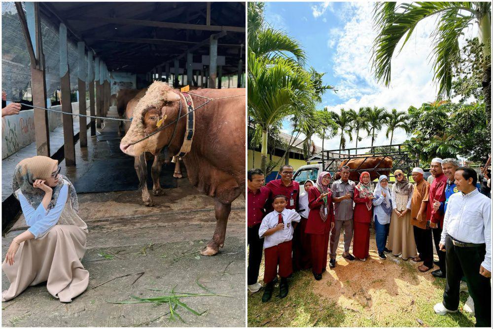 9 Potret Ria Ricis Menghibahkan Sapi Qurban ke Almamater SMP di Batam