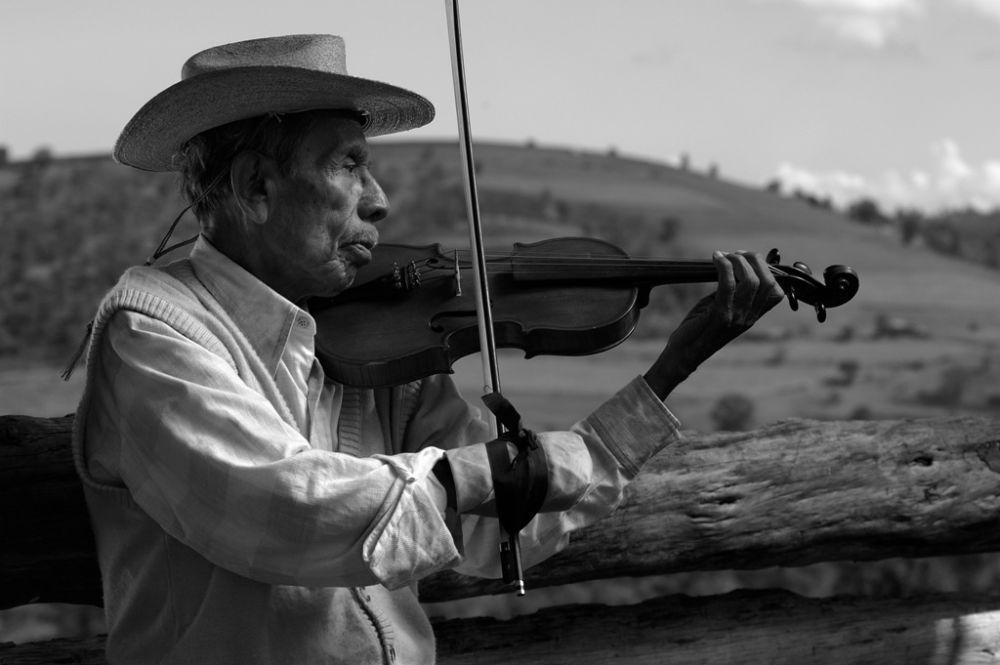 The Violin (dok. Memento Films International/The Violin)