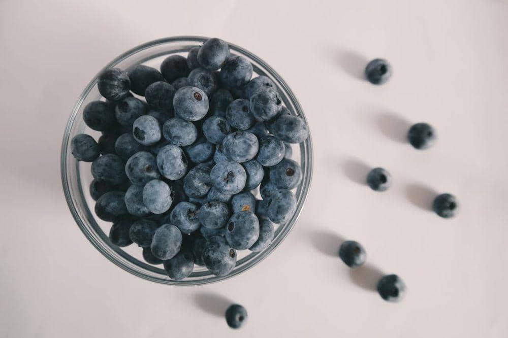 Ilustrasi hidangan blueberry (pexels.com/Brigitte Tohm)