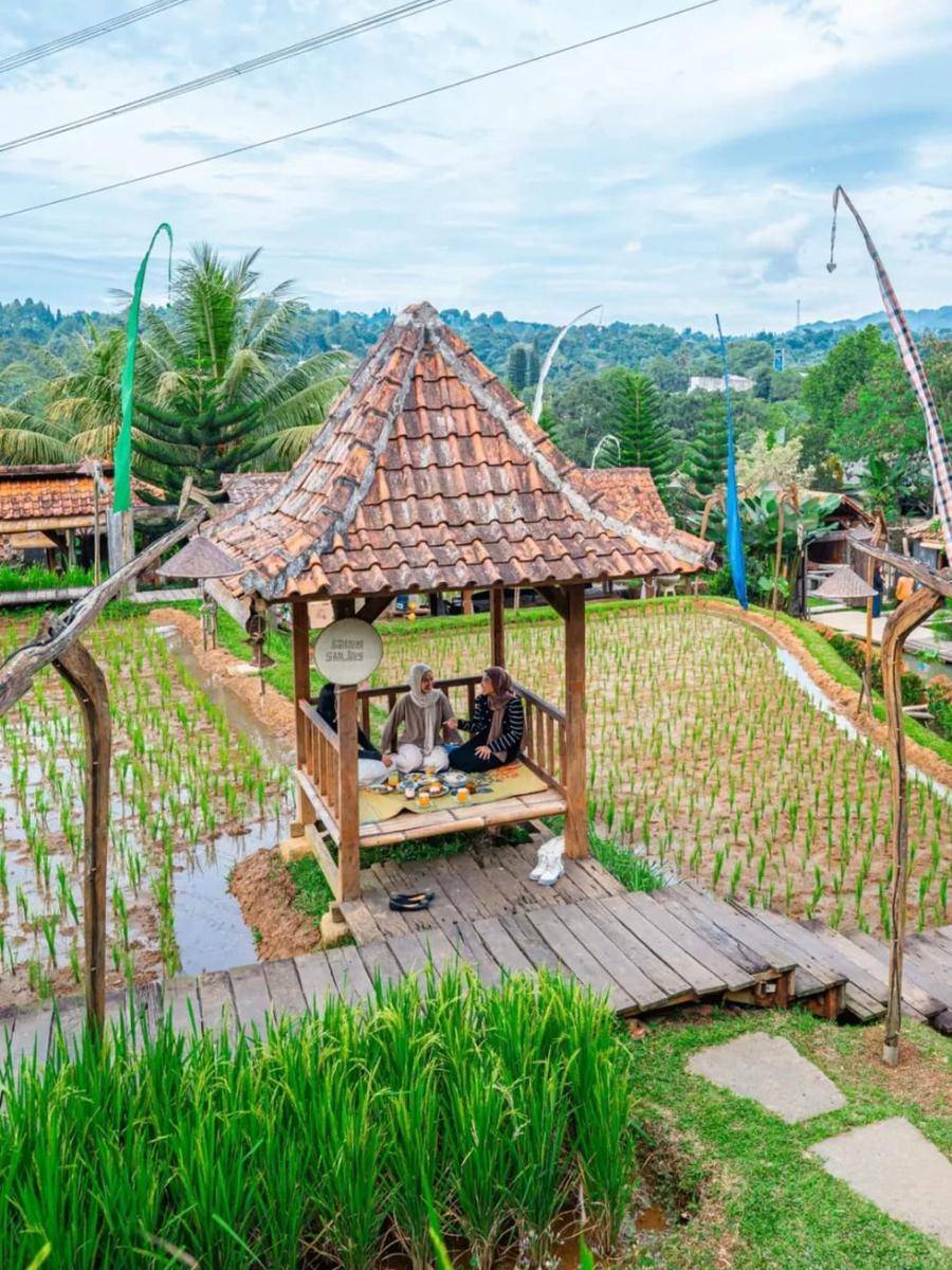 Resto Ngopi di Sawah (instagram.com/ngopidi.sawah)