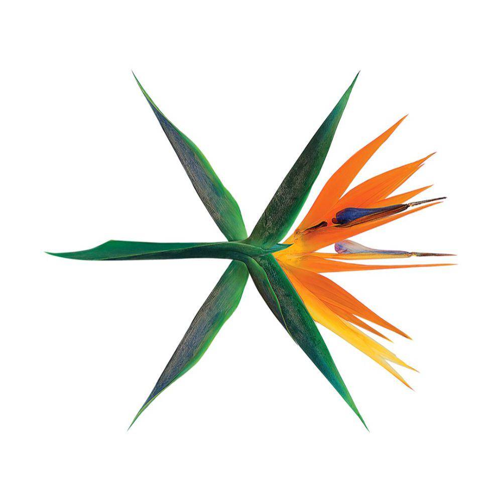 cover album The War (youtube.com/EXO)