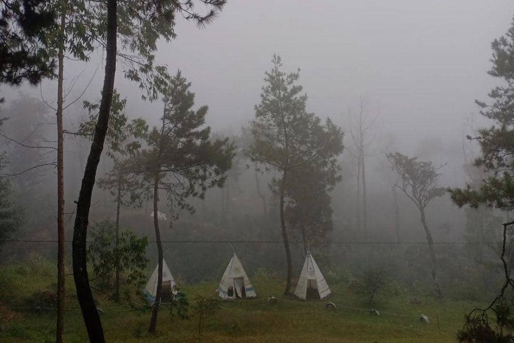 Potret Papandayan Camping Ground Garut (instagram.com/papandayancampingground)