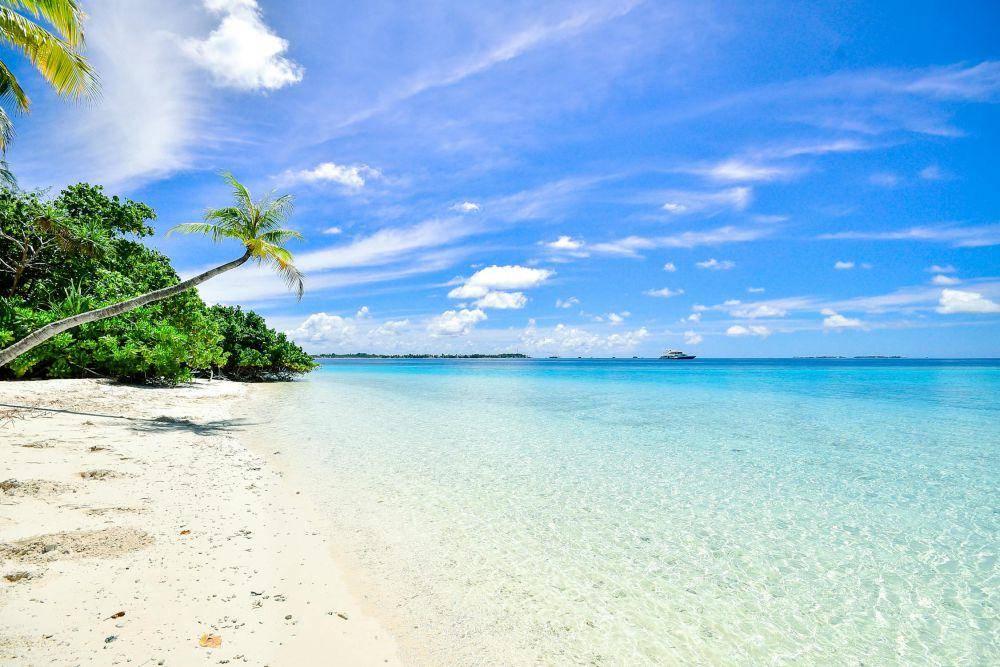 ilustrasi pantai (pexels.com/Asad Photo Maldives)