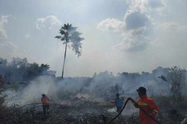 14 Hotspot Terdeteksi pada Mei, Muba Siaga Darurat Karhutla