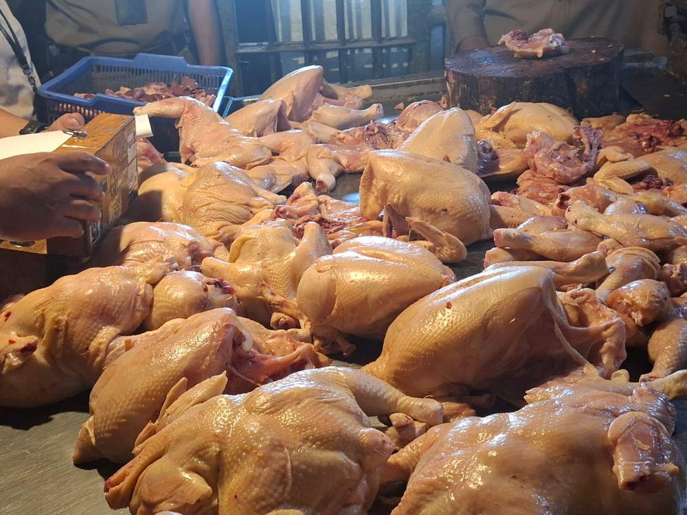 Dana Puslatkab Tak Cukup, Atlet Binaraga Malang Makan Ayam Tiren Lagi