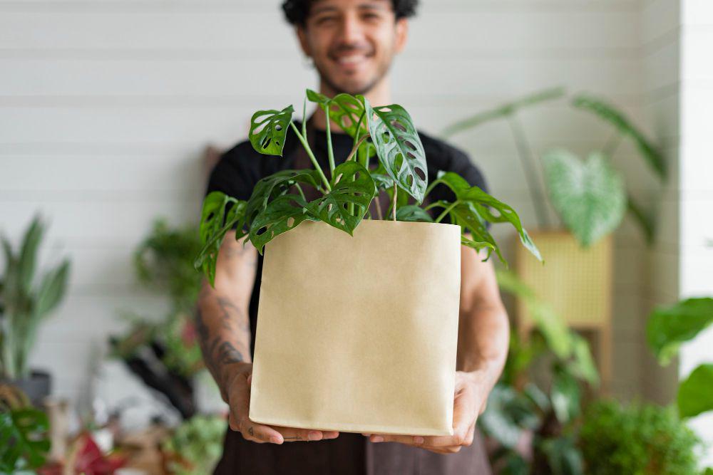 Jangan Langsung Dipajang! 5 Tips Detoks Tanaman Baru dari Nursery