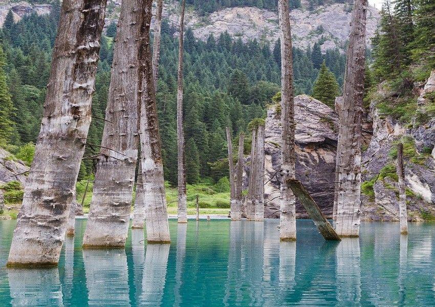 http://cdn.idntimes.com/content-images/community/2017/08/140-ed0899a3a19087975e5c805e0c4ac8eb.jpg