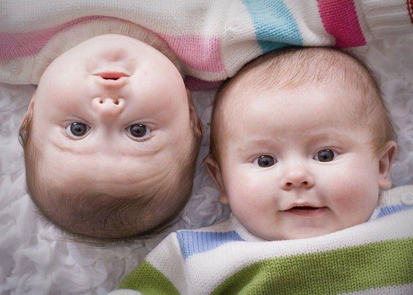 http://cdn.idntimes.com/content-images/community/2017/11/26-twins-by-abby-bischoff-8bcaab38531a5b9b979168da35ba5abf.jpg