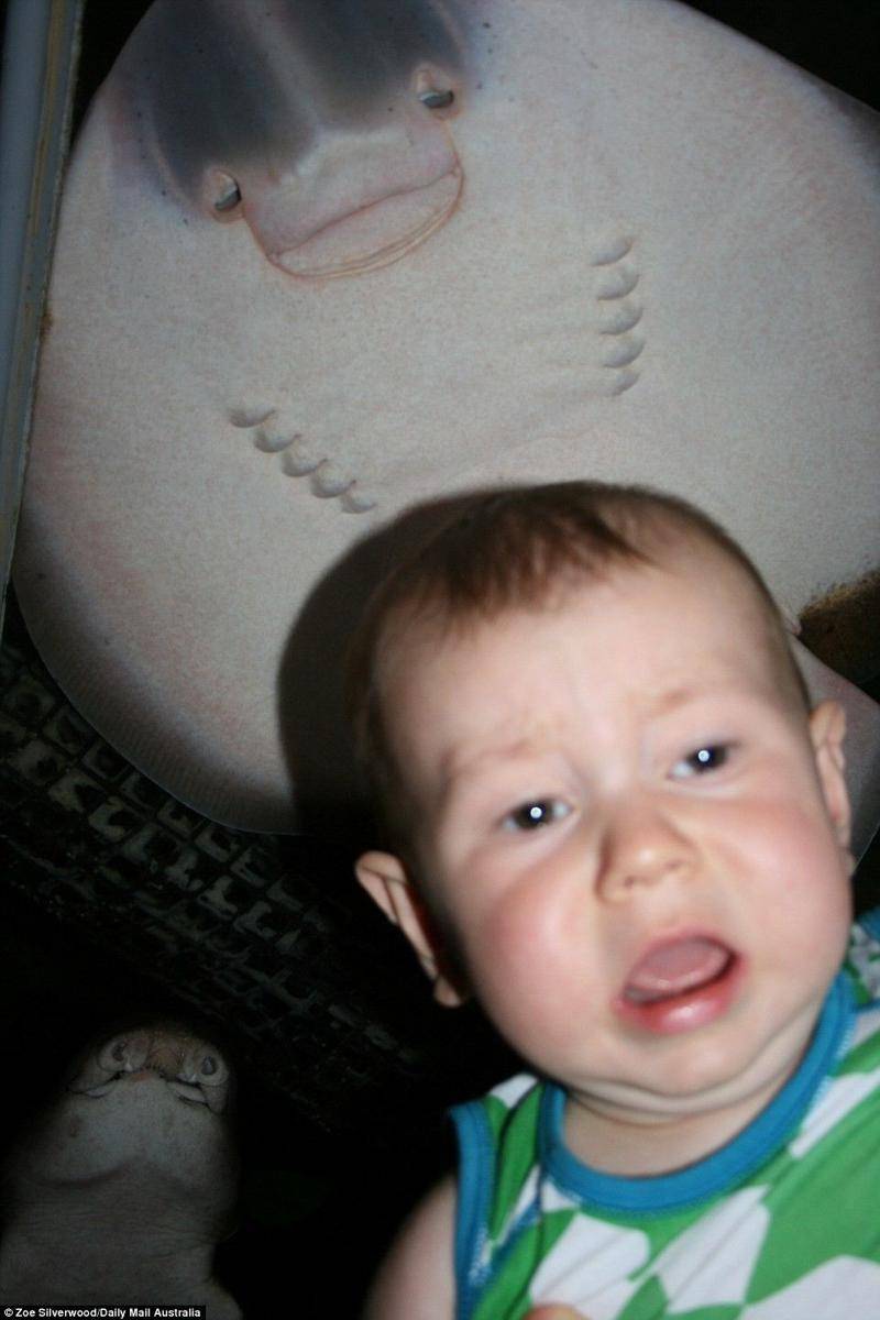http://cdn.idntimes.com/content-images/community/2017/11/28b06c8300000578-3085711-welcome-to-the-aquarium-from-the-horrified-look-on-zoe-silverwoo-a-8-1431912755399-b40a7ad18491b3a7e03845005b8f0c1a.jpg