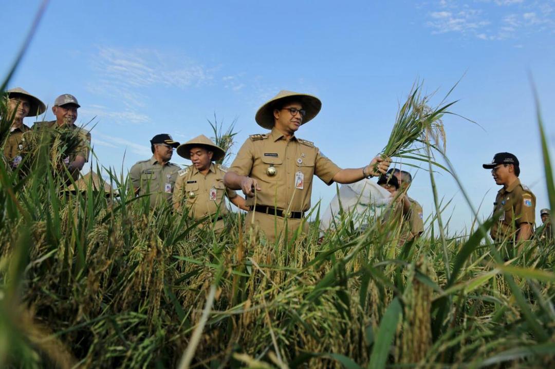https://cdn.idntimes.com/content-images/post/20180123/anies1-d10aba4c19903c1eb901b5a130beb665.jpg