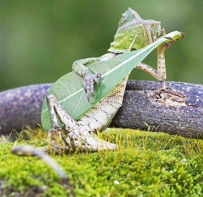 http://cdn.idntimes.com/content-images/community/2017/08/dfteq6qxoaarvf-137001982716361699d129d6a3c532ea.jpg