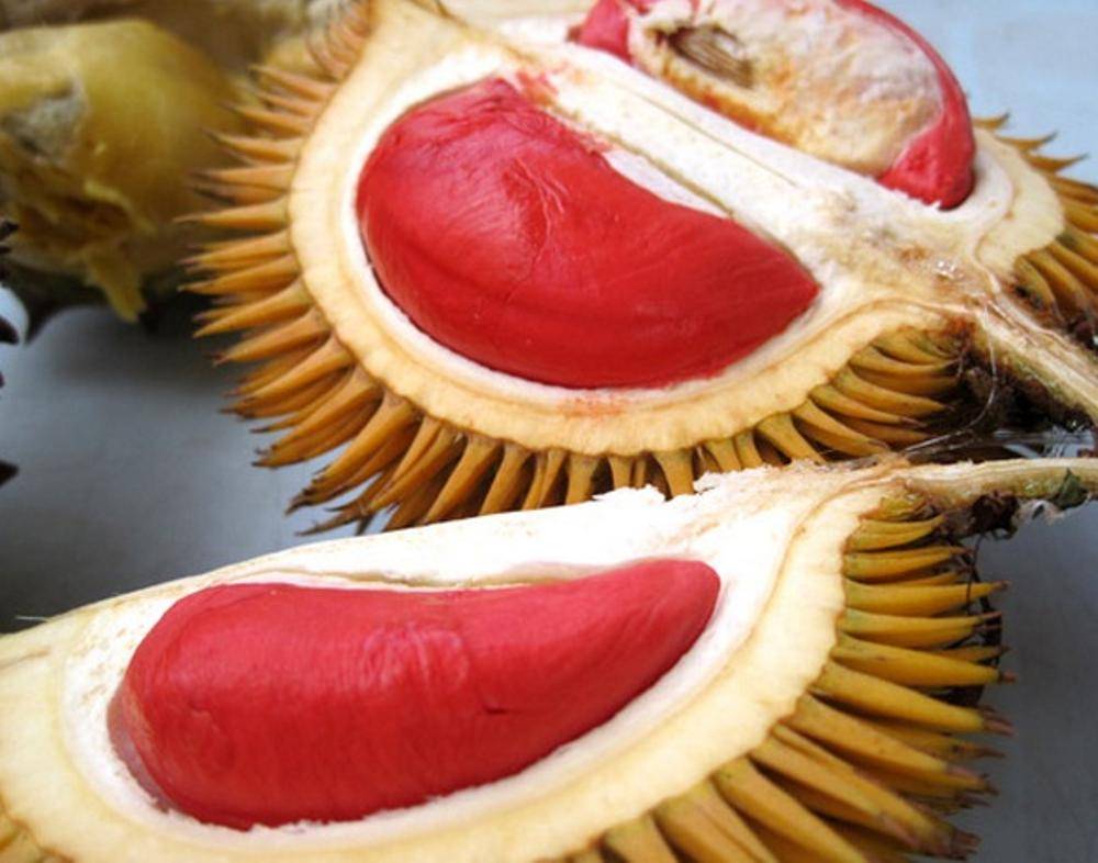 https://cdn.idntimes.com/content-images/post/20180125/durian1-7b989ce092aa34b3b7bd4a1e34d50f07.jpg