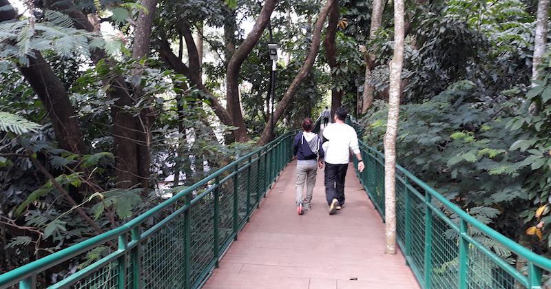 https://cdn.idntimes.com/content-images/post/20180202/forestwalk2-b314d58b98d1c46f325518f7c0b4576c.jpg