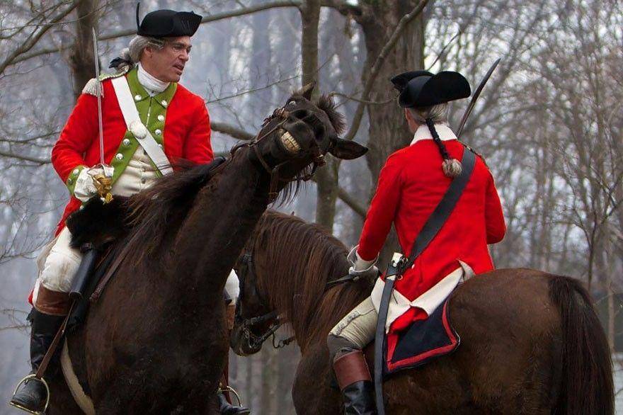 http://cdn.idntimes.com/content-images/community/2017/11/funny-animal-photobombs-23-880-43a0cd3f1fbbf2ebefdc1fe618ad6366.jpg