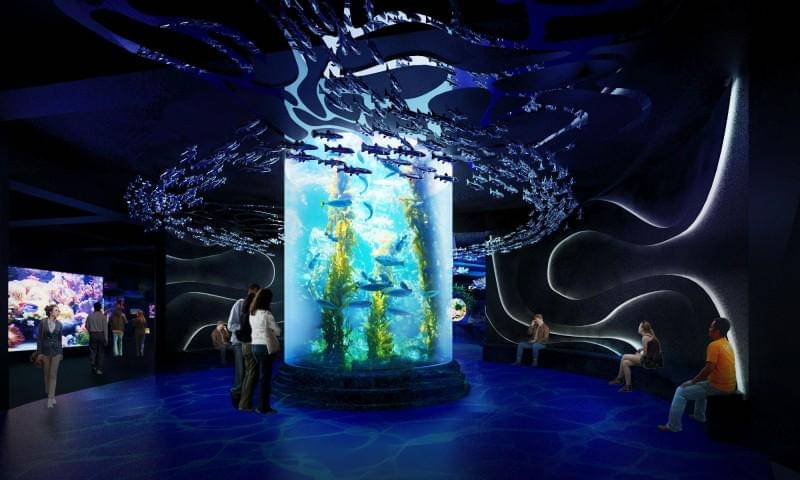 https://cdn.idntimes.com/content-images/post/20171214/harga-tiket-masuk-jakarta-aquarium-tebaru-21701f4695256d8af978762178acbdcb.jpg