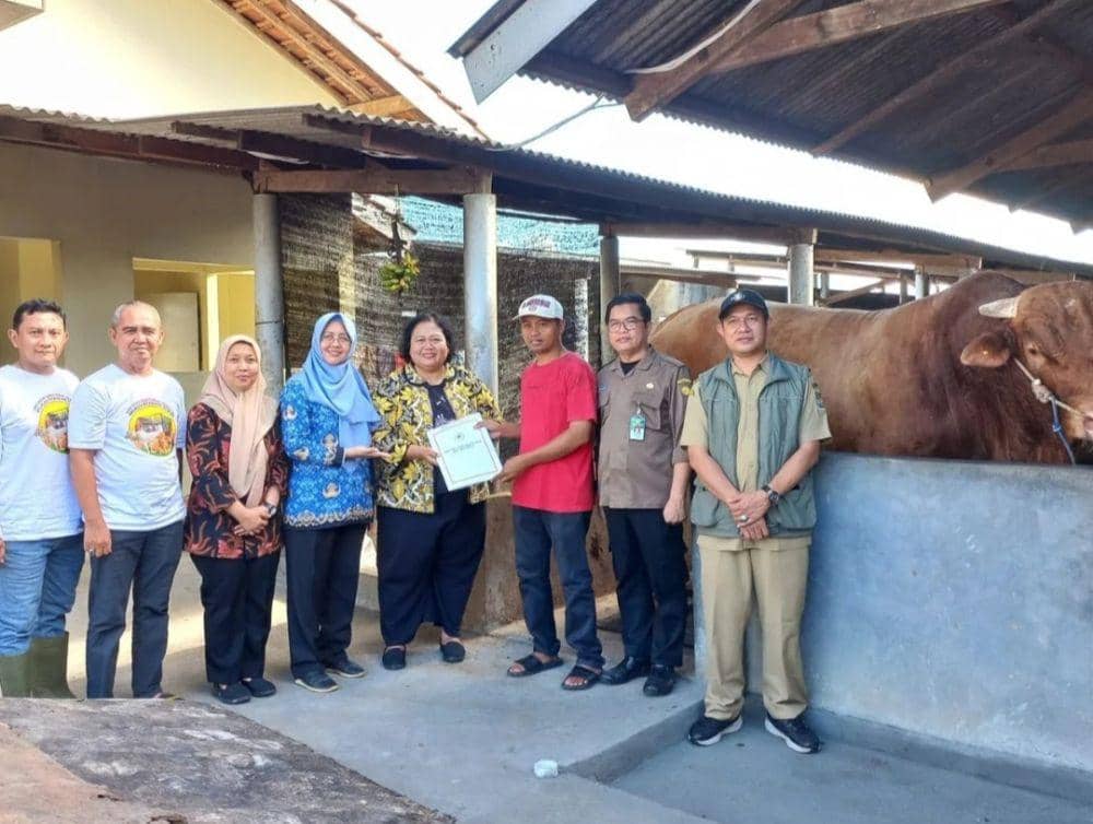 Penyerahan sapi kurban Presiden Prabowo ke Pemprov Lampung. (Dok. Disnakkeswan Lampung).