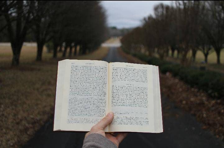 Ilustrasi baca buku (unplash.com/GrayClary)