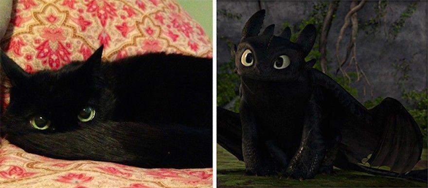 http://cdn.idntimes.com/content-images/community/2017/04/kucing-dan-naga-toothless-fa566c60fe0df6c9bf24d33b8572a0ca.jpg